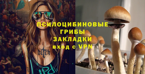 мяу мяу мука Алексин