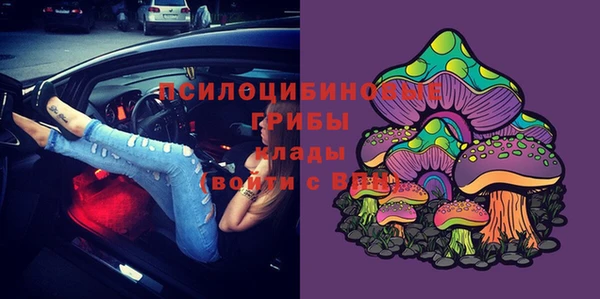 ПСИЛОЦИБИНОВЫЕ ГРИБЫ Алексеевка