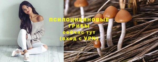 мяу мяу мука Алексин