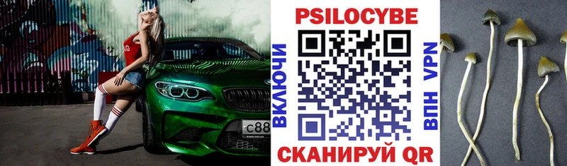 Псилоцибиновые грибы Psilocybine cubensis  Набережные Челны 